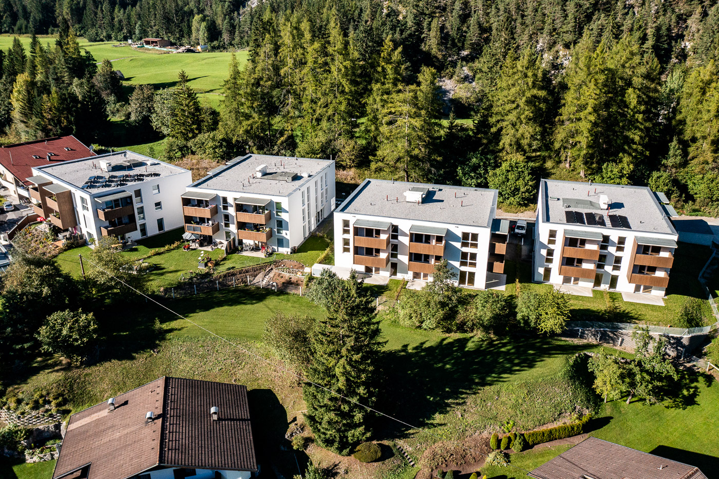 PORR Drohne Wald