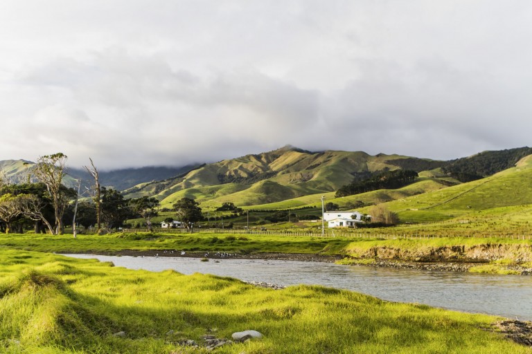 Port Jackson, North Island, New Zealand