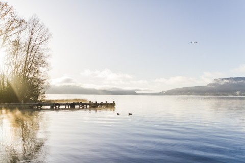 Lake Tarawera, Rotorua, North Island, New Zealand